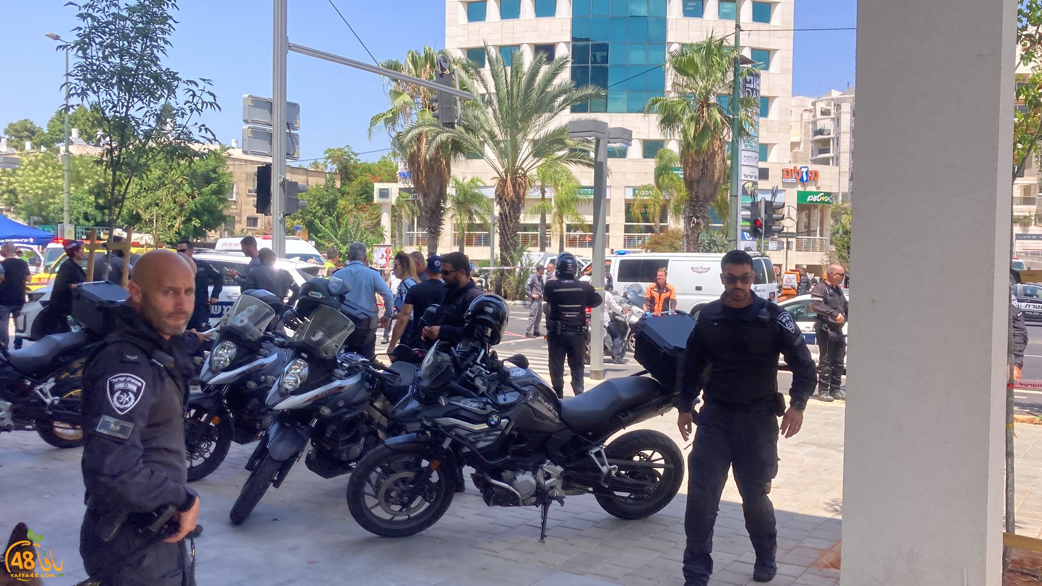 WhatsApp Image 2023-07-04 at 2.05.18 PM.jpeg